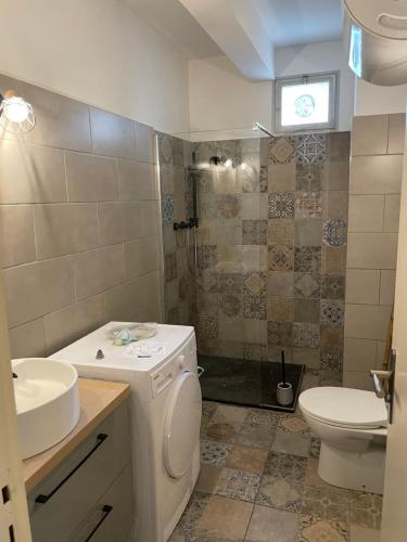 une salle de bain avec un lavabo, des toilettes et une douche dans l'établissement Ajaccio Studio Parc Berthault / Albert 1er, à Ajaccio