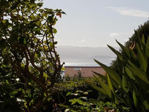 un bâtiment au loin avec des arbres et des plantes dans l'établissement Ajaccio Studio Parc Berthault / Albert 1er, à Ajaccio