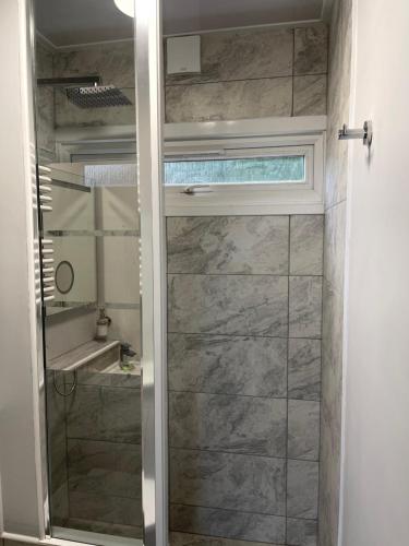 y baño con ducha y puerta de cristal. en Eden Garden Luxury Lodges en Llangain