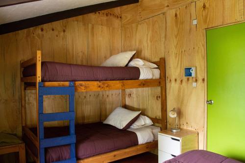 two bunk beds in a wooden room with a ladder at Azurita in Futaleufú