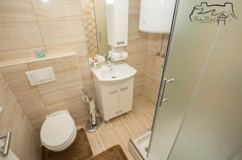 a small bathroom with a toilet and a sink at Villa Ostrovica in Bihać