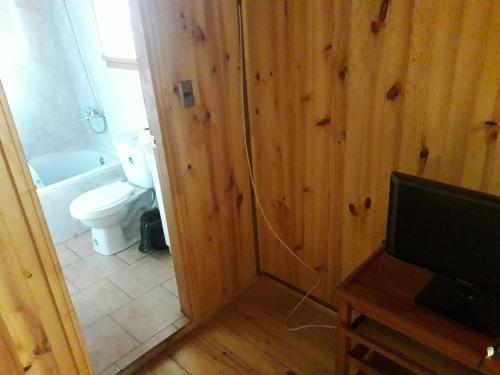 a bathroom with a toilet and a tv in it at Hostal Rayen in Villarrica