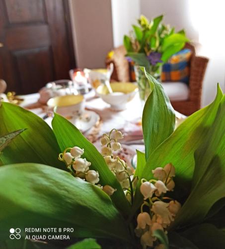 a table with green leaves and flowers on it at B&B Va...lentina in Piavata