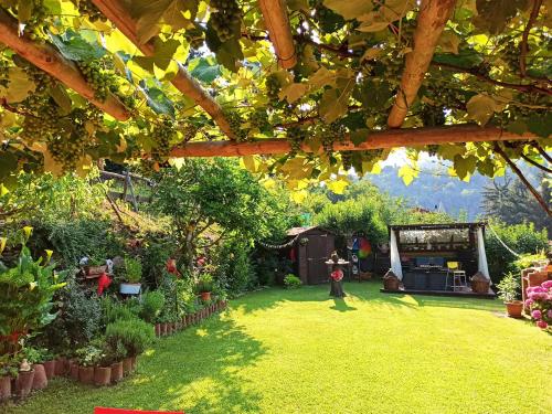 a garden with a person standing in the grass at B&B Va...lentina in Piavata