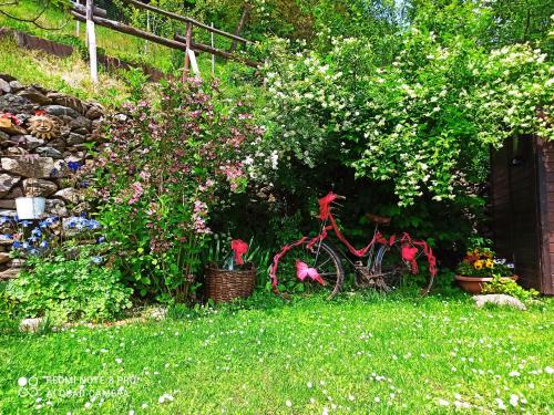 a bike parked in the grass next to a garden at B&B Va...lentina in Piavata