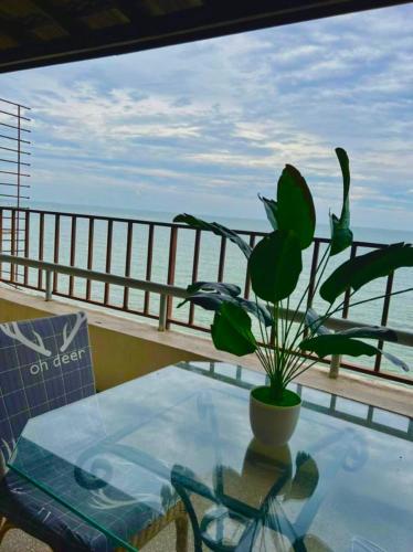 eine Topfpflanze, die auf einem Glastisch auf einem Balkon sitzt in der Unterkunft PD SEAVIEW VIP Staycation w WiFi in Kampong Bagan Pinang