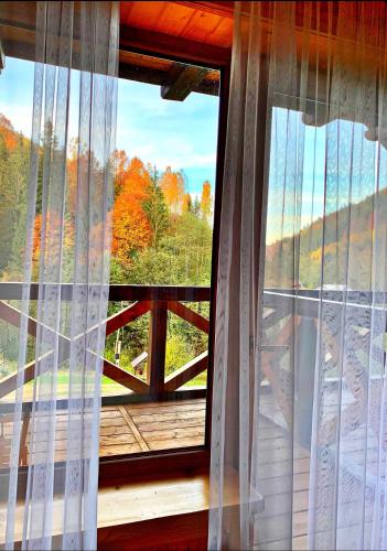 a window in a room with a view of trees at Терношорська Лада in Snidavka