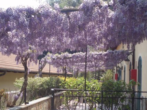 Κήπος έξω από το Hotel Lago Bin