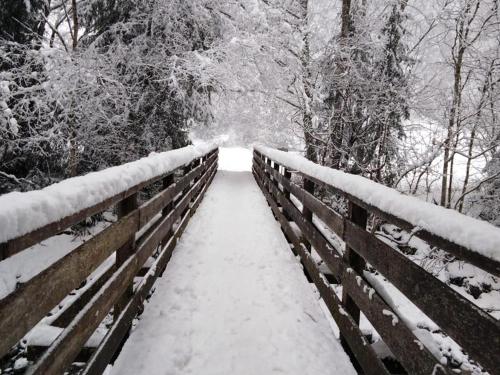 a wooden bridge covered in snow with trees at Haus Elisabeth Netzer in Sankt Gallenkirch