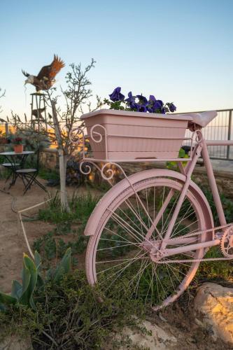 a pink bike with a basket full of flowers at House of Art in Arad