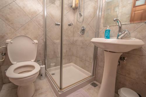 a bathroom with a toilet and a sink and a shower at House of Art in Arad