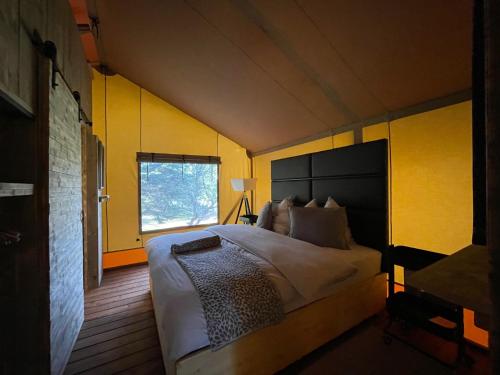 sypialnia z dużym łóżkiem z żółtymi ścianami w obiekcie GIFFORD private Island GLAMPING boat ride included w mieście Mahone Bay