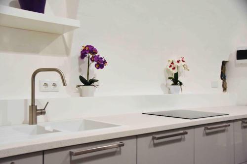 a kitchen with a sink and two vases of flowers at Nuovo Casa in Sopron