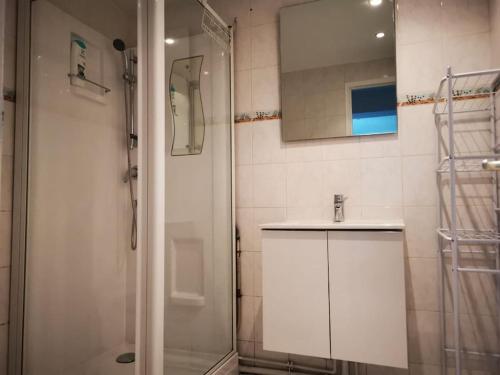 uma casa de banho com um chuveiro, um lavatório e um espelho. em Studio de Charme à 30 min de Paris, 5 min d'Evry em Ris-Orangis