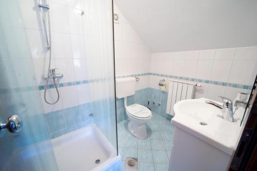 a bathroom with a shower and a toilet and a sink at Okrepčevalnica Kurn'k in Cerkno
