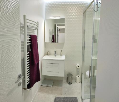 a white bathroom with a sink and a shower at Balance appartment - Le Locle in Le Locle