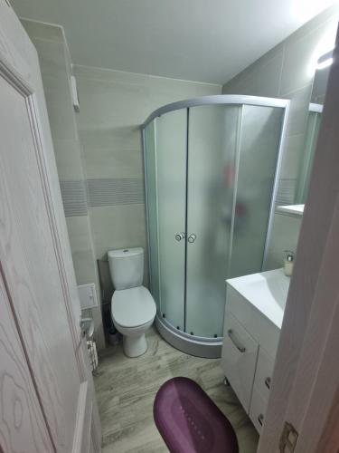 a bathroom with a shower and a toilet and a sink at UNIRII 107 in Constanţa