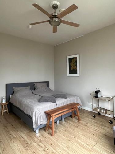 Ένα ή περισσότερα κρεβάτια σε δωμάτιο στο Luxe kamer in stadsvilla, gratis parkeren!