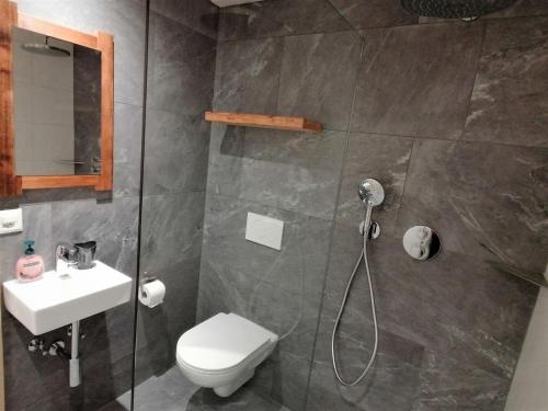 ein Bad mit einer Dusche, einem WC und einem Waschbecken in der Unterkunft "Studio Edelweiss" Spillstatthus in Grindelwald