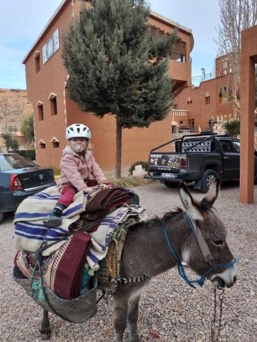 Animales en el hotel o alrededores
