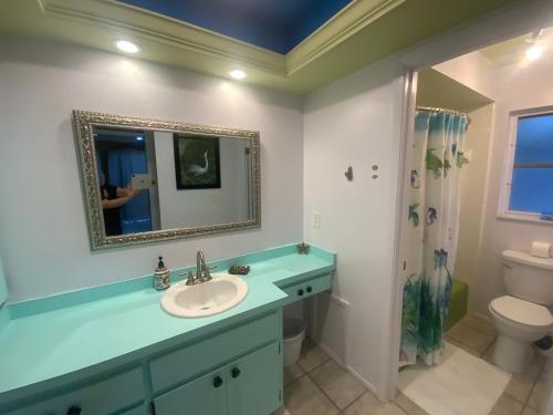 a bathroom with a sink and a mirror and a toilet at Casa Limon with HEATED POOL in Sarasota