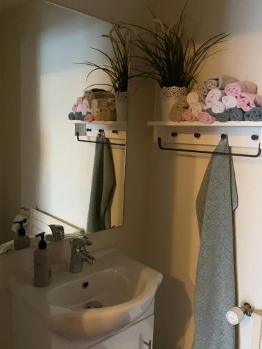 a bathroom with a sink and a mirror at Skammidalur Guesthouse in Vík