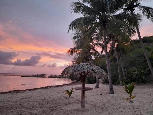 a view of a beach with two palm trees at Joli appartement St François Guadeloupe in Courcelles Sucrerie