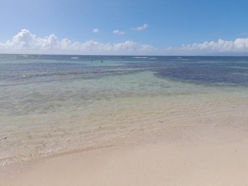 a beach with the ocean and some people in the water at Joli appartement St François Guadeloupe in Courcelles Sucrerie
