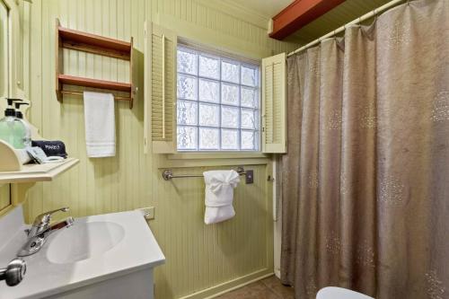 baño con lavabo y cortina de ducha en Downtown Prost, en New Braunfels