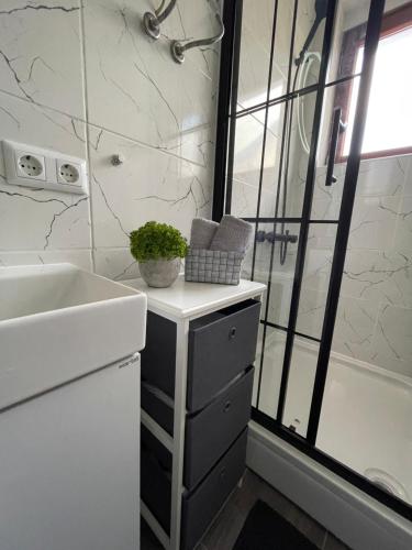 Koupelna v ubytování Planinski raj