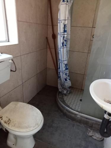 uma casa de banho com um chuveiro, um WC e um lavatório. em Lamont Lodge em Durban