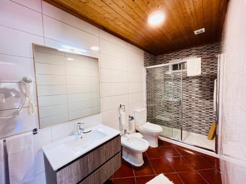 een badkamer met een toilet, een wastafel en een douche bij Casinha dos Cubos in Geres