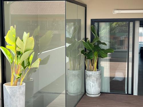 two vases with plants in them sitting on a table at ONE LODGE Pattaya in Pattaya Central