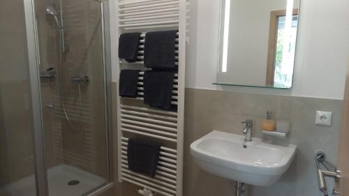 ein Bad mit einem Waschbecken und einer Dusche in der Unterkunft Katjas Ferienwohnungen in Giebelstadt