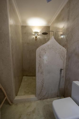 a bathroom with a shower with a toilet and a light at Sharazad Wonders Boutique in Zanzibar City