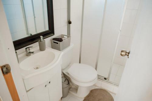 a white bathroom with a toilet and a sink at Leftraro Lodge Urbano in Villarrica