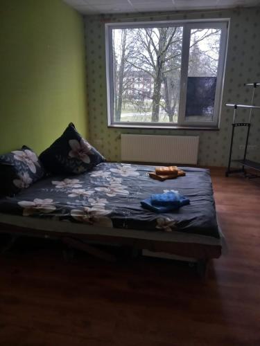 a large bed in a room with a window at Balvu centrs Partizanu 10 in Balvi