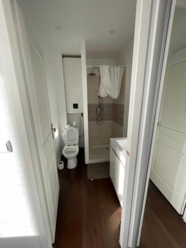 een badkamer met een toilet en een bad bij Duplex quartier Saint-Sernin, Toulouse in Toulouse