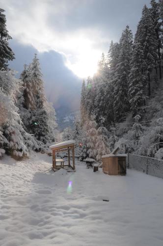 a snow covered area with a picnic table and trees at Гостьовий дім Секвойя in Verkhniy Bystryy