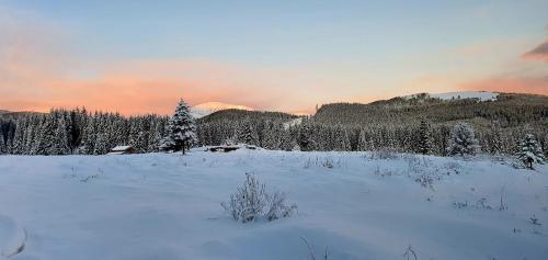 un campo cubierto de nieve con árboles y una puesta de sol en Nort Inn, en Tău Bistra