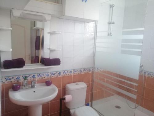 ein Bad mit einem WC, einem Waschbecken und einer Dusche in der Unterkunft Ti case Mellauman : Anse Plage in Les Trois-Îlets
