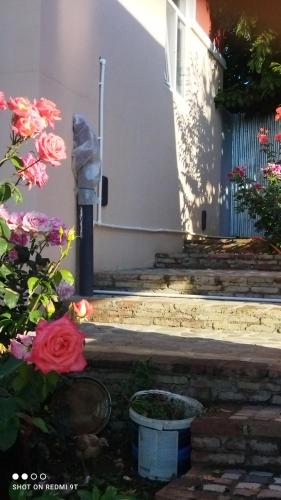 a garden with flowers and a statue in front of a building at Quba Guest House in Digah