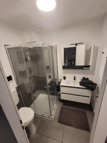 a bathroom with a shower and a toilet and a sink at Apartment Mohr am Semmering in Semmering