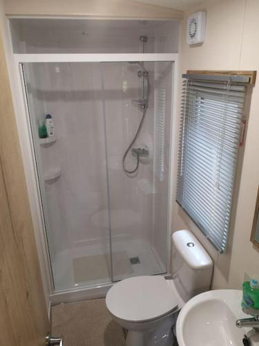 a bathroom with a shower and a toilet and a sink at Plompton Mill Holiday Home in Knaresborough