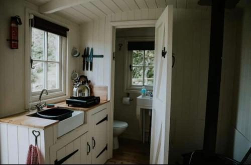 a small kitchen with a sink and a toilet at Snowdonia Shepherds Hut + Hot Tub in Barmouth