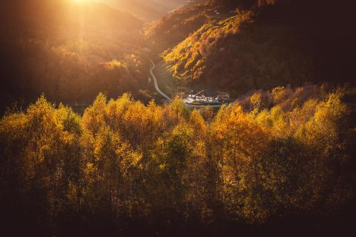 a house on a road in a valley with trees at Conacul Sanct Gurgh in Cormaia