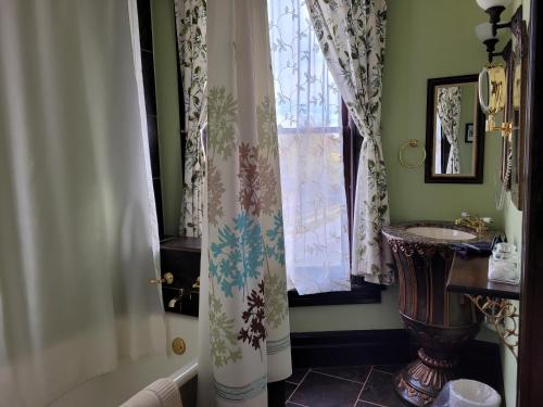 a bathroom with a sink and a shower curtain at Buffalo Harmony House in Buffalo