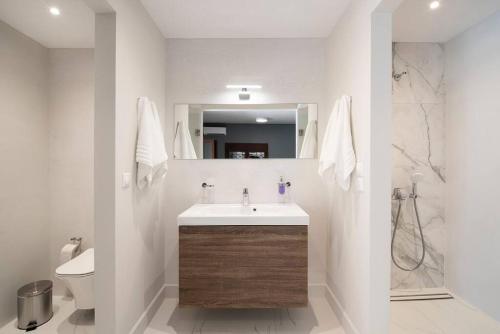 een badkamer met een wastafel, een toilet en een spiegel bij villa lion in Agioi Theodoroi