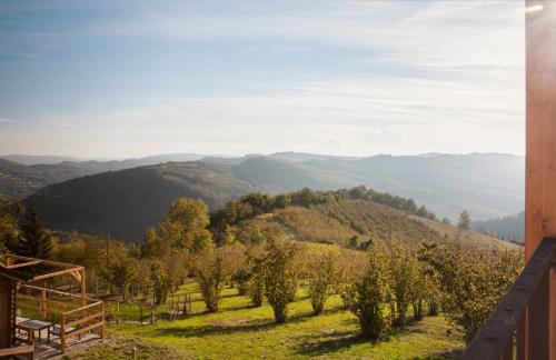 a view of a vineyard with trees and mountains at Pian Del Mund in Borgomale