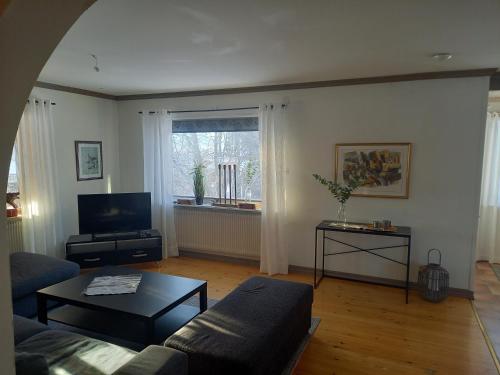 ein Wohnzimmer mit einem Sofa und einem Tisch in der Unterkunft Lägenhet centrala Sollerön in Sollerön